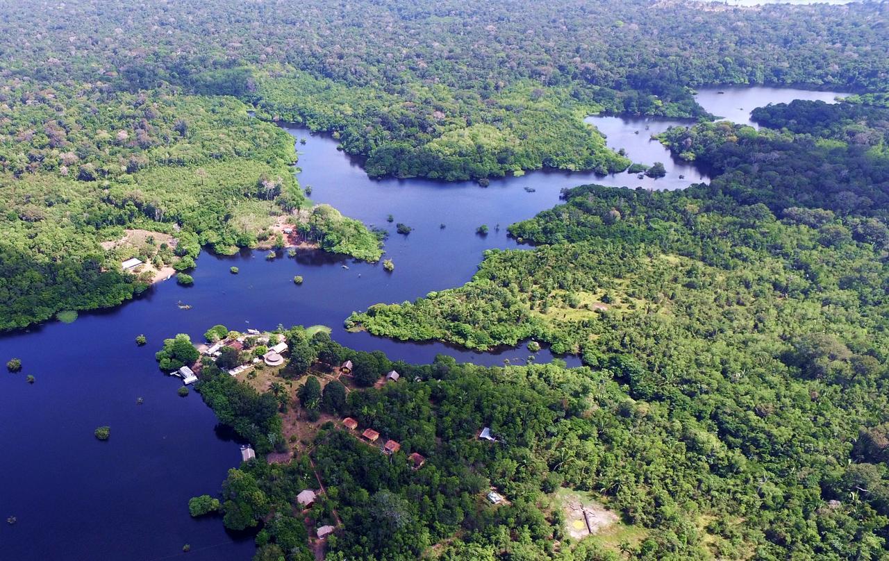 Amazon Turtle Lodge Careiro Eksteriør bilde