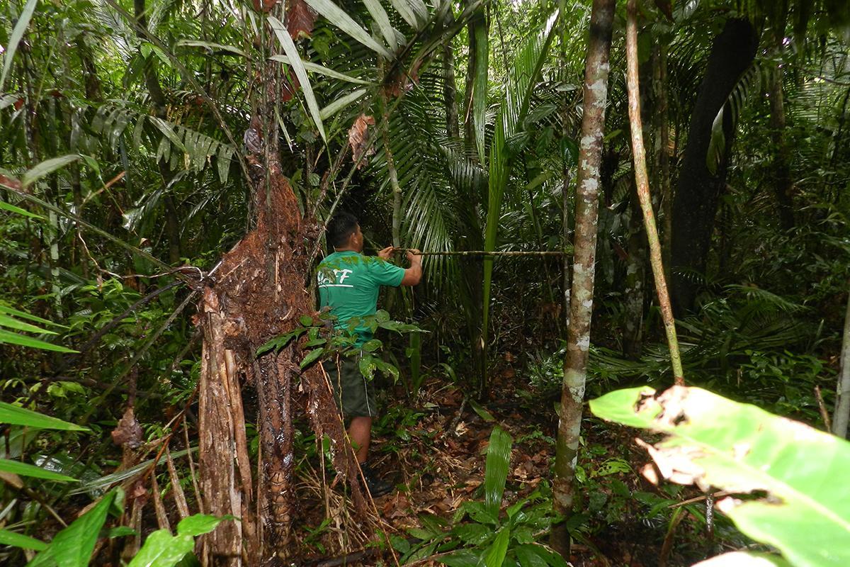 Amazon Turtle Lodge Careiro Eksteriør bilde